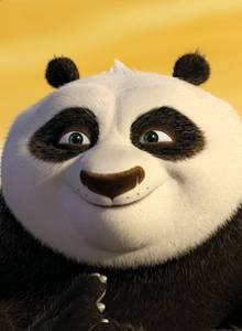 Kung-fu_panda-obrezal